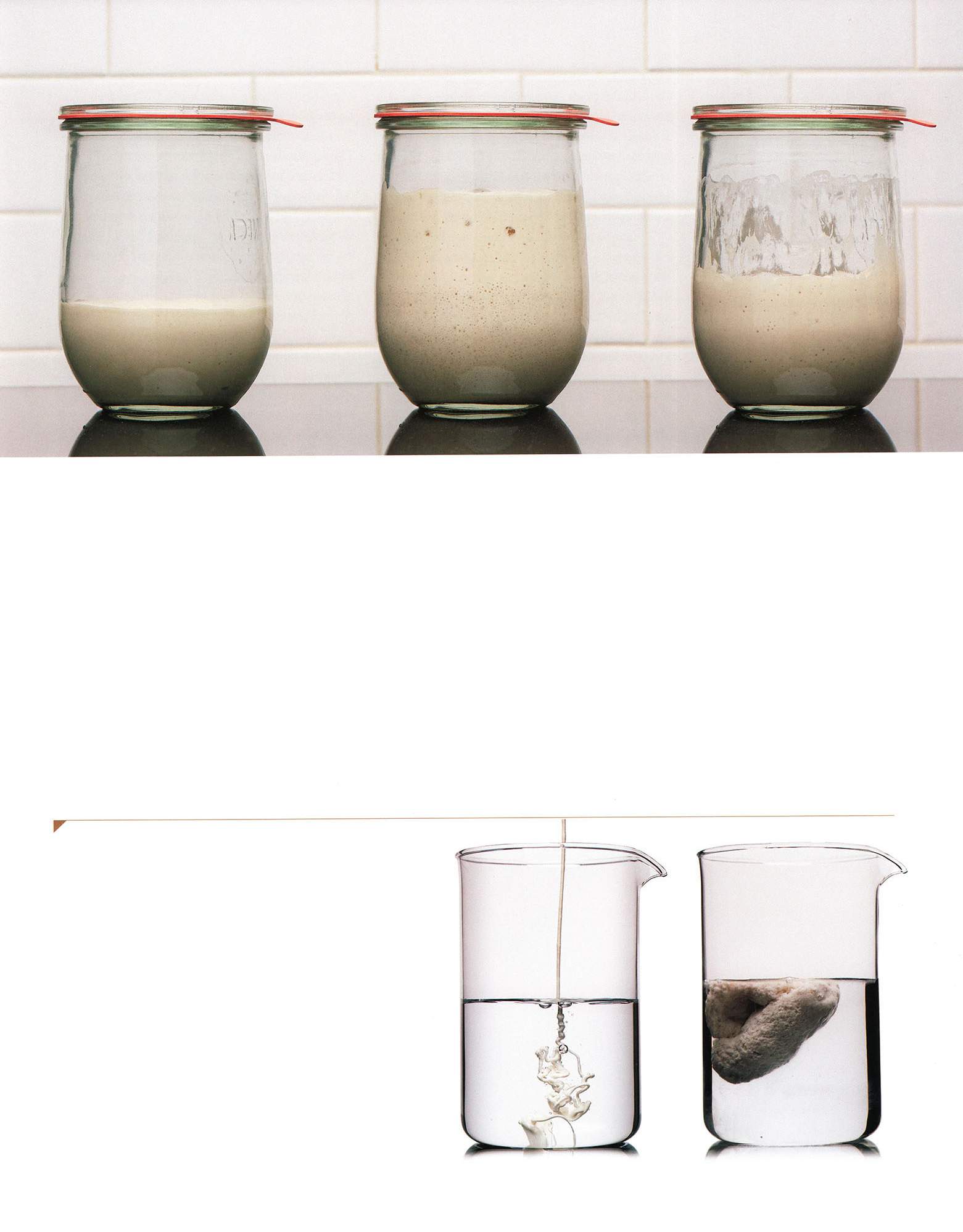 Three bowls of poolish showing young, ripe, and overripe stages