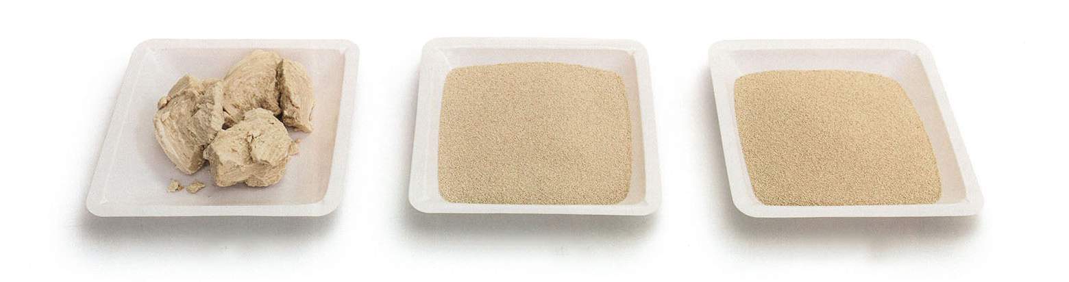 Instant yeast