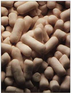 Active Dry Yeast